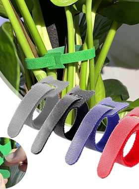 多彩绿植扎带 植物分类 园艺魔术贴扎线捆绑造型定型绑带插花固定