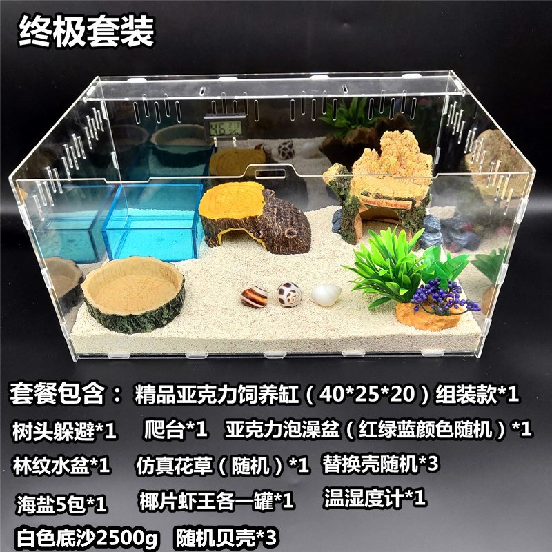 寄居蟹新手儿童套装 草莓 短腕 深紫 灰白寄居蟹 主题套装