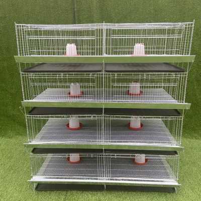 新品养鸡笼家用大型网片养殖场大号特I大号自动喂食Y底片漏粪鸡