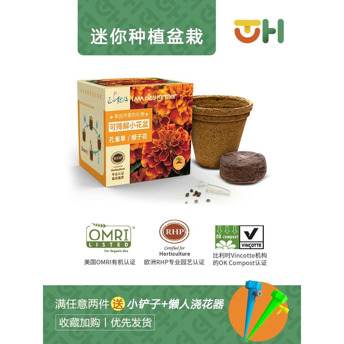 儿童种植花卉植物迷你小盆栽套装美女樱凤仙花籽育苗杯幼儿园礼品