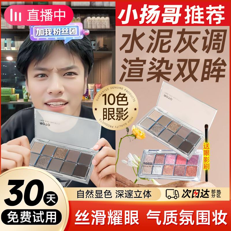 2025年新款十色眼影盘水泥灰自然持久低饱和度ins超火正品官方店