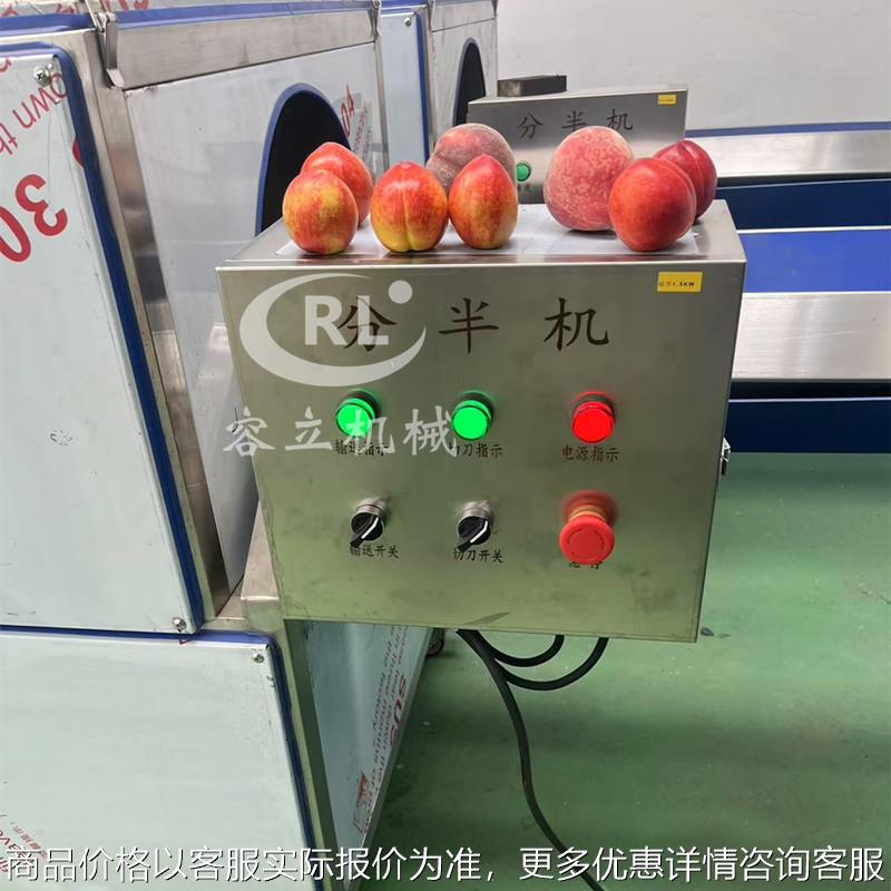 现货桃子切半机 输送式黄桃杏干劈半机 大产量蜜桃樱桃分半机