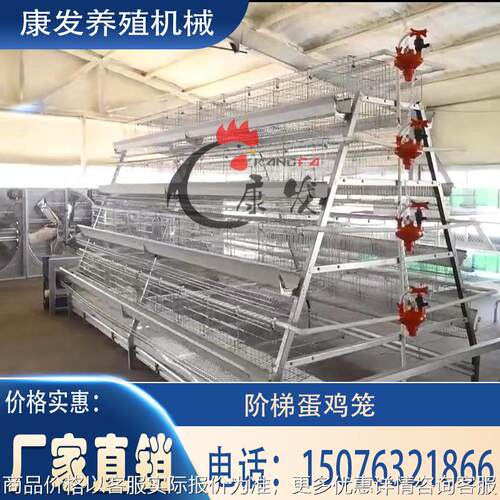 厂家直销型蛋鸡笼热镀锌全自动清粪养鸡设备三层四层阶梯式鸡笼
