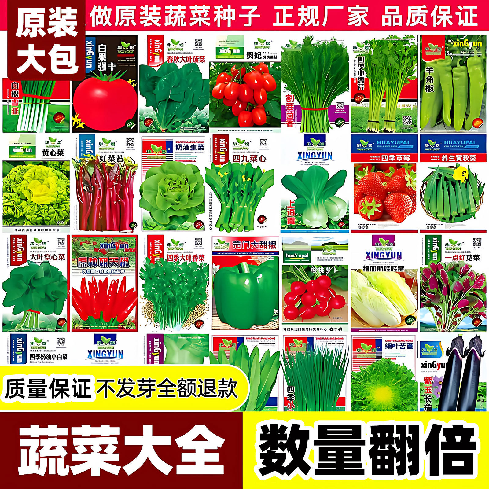 蔬菜种子大包四季播种原装鸡毛菜香菜生菜黄瓜阳台盆栽家庭种植,农用物资,蔬菜种子/种苗,淘宝优惠券,粉丝福利购,淘宝优惠卷