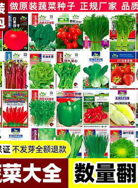 蔬菜种子大包四季播种原装鸡毛菜香菜生菜黄瓜阳台盆栽家庭种植