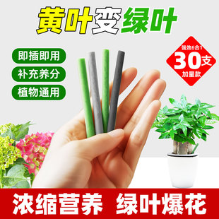 植物营养棒缓释肥花肥家用盆栽绿植通用型养花复合花卉多肉肥料