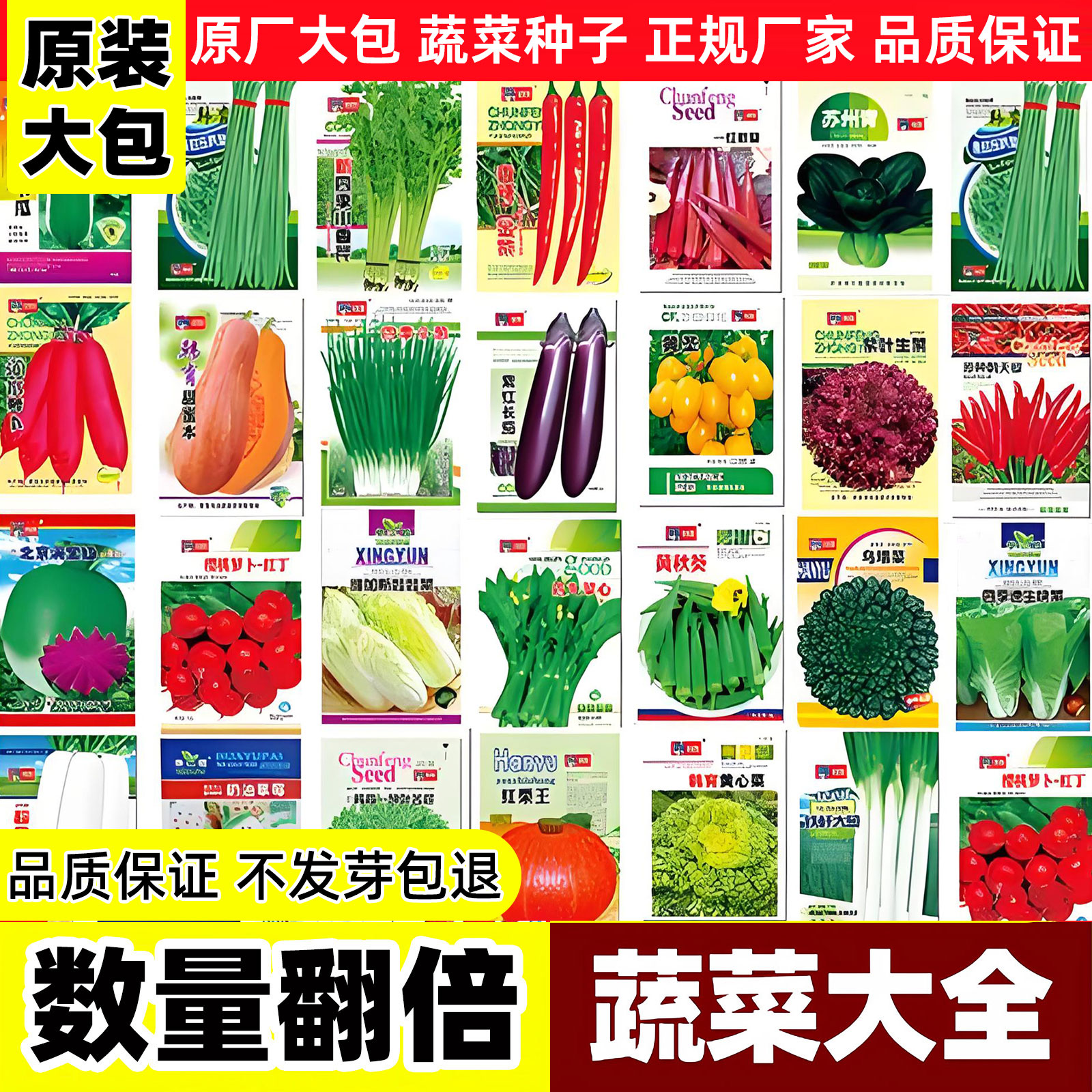 四季播蔬菜种子园艺家庭必备										