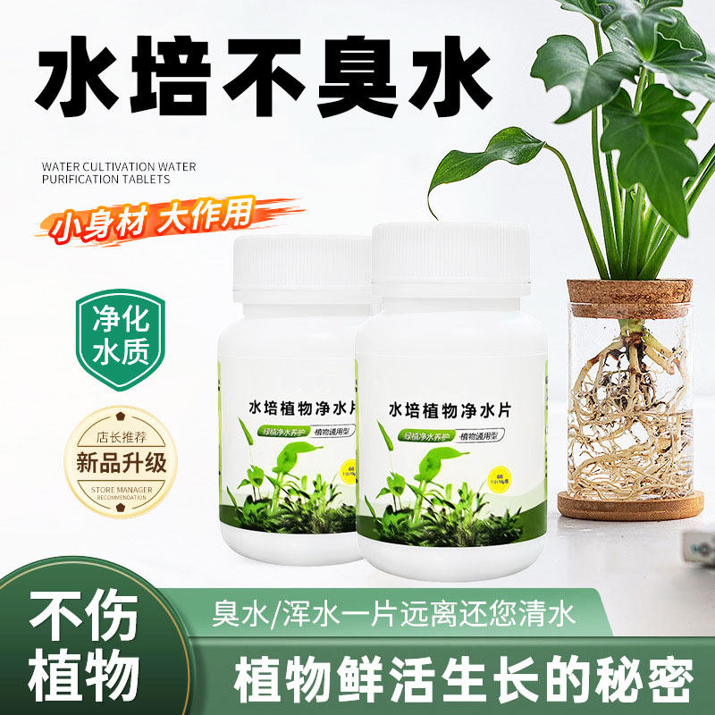 水培植物净水片花卉绿植保鲜剂碗莲铜钱草不臭水杀菌净化水质除臭,鲜花速递/花卉仿真/绿植园艺,家庭园艺肥料,淘宝优惠券,粉丝福利购,淘宝优惠卷