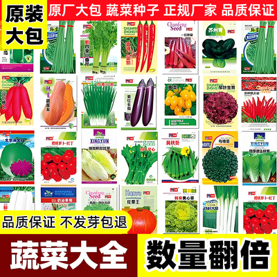 蔬菜种子大包四季播种