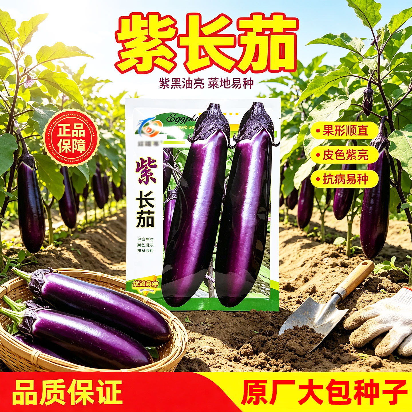 紫长茄种子紫茄种籽四季播种蔬菜种子大全阳台庭院庭院易种茄子籽