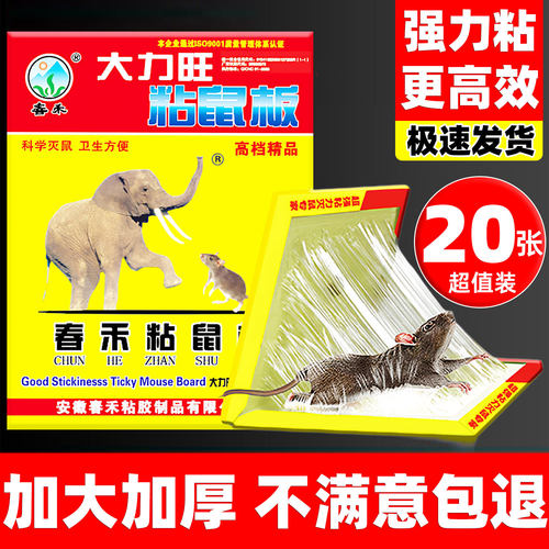 20张大号强力胶粘鼠板*畅销爆款