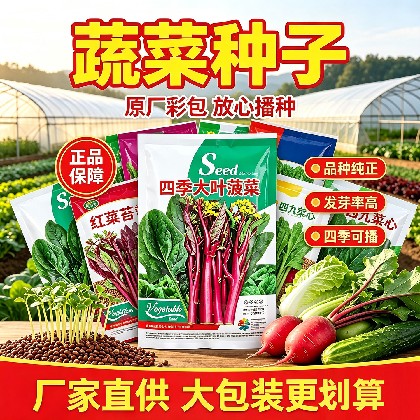 蔬菜种子香菜菜籽孑菠菜四季蔬菜大全菠菜上海青萝卜白菜辣椒茄子