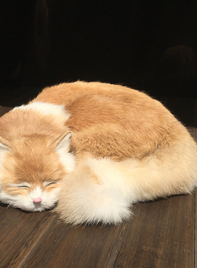 仿真猫咪动物模型家n居装饰品桌面摆件真皮毛动物玩偶软装饰品摆