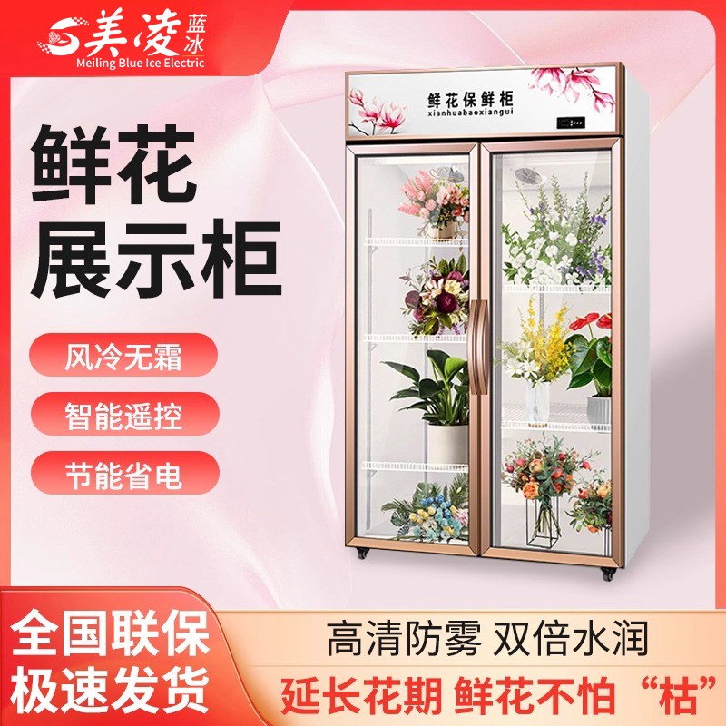 美凌环保冰鲜花保鲜柜花店花艺冷藏展示冰柜箱风冷单双三门商用