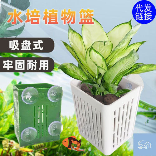 新升级鱼缸水培定植种植篮水草固