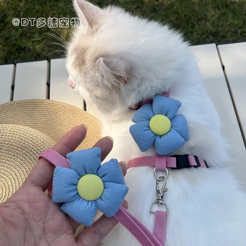 幼猫小奶猫专用牵引绳外出留遛溜猫咪工字防挣脱1斤两个月超小号,宠物/宠物食品及用品,猫牵引绳,淘宝优惠券,粉丝福利购,淘宝优惠卷