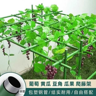 牵引架猕猴桃南瓜葫芦架 庭院户外葡萄架百香果爬藤架子立柱式