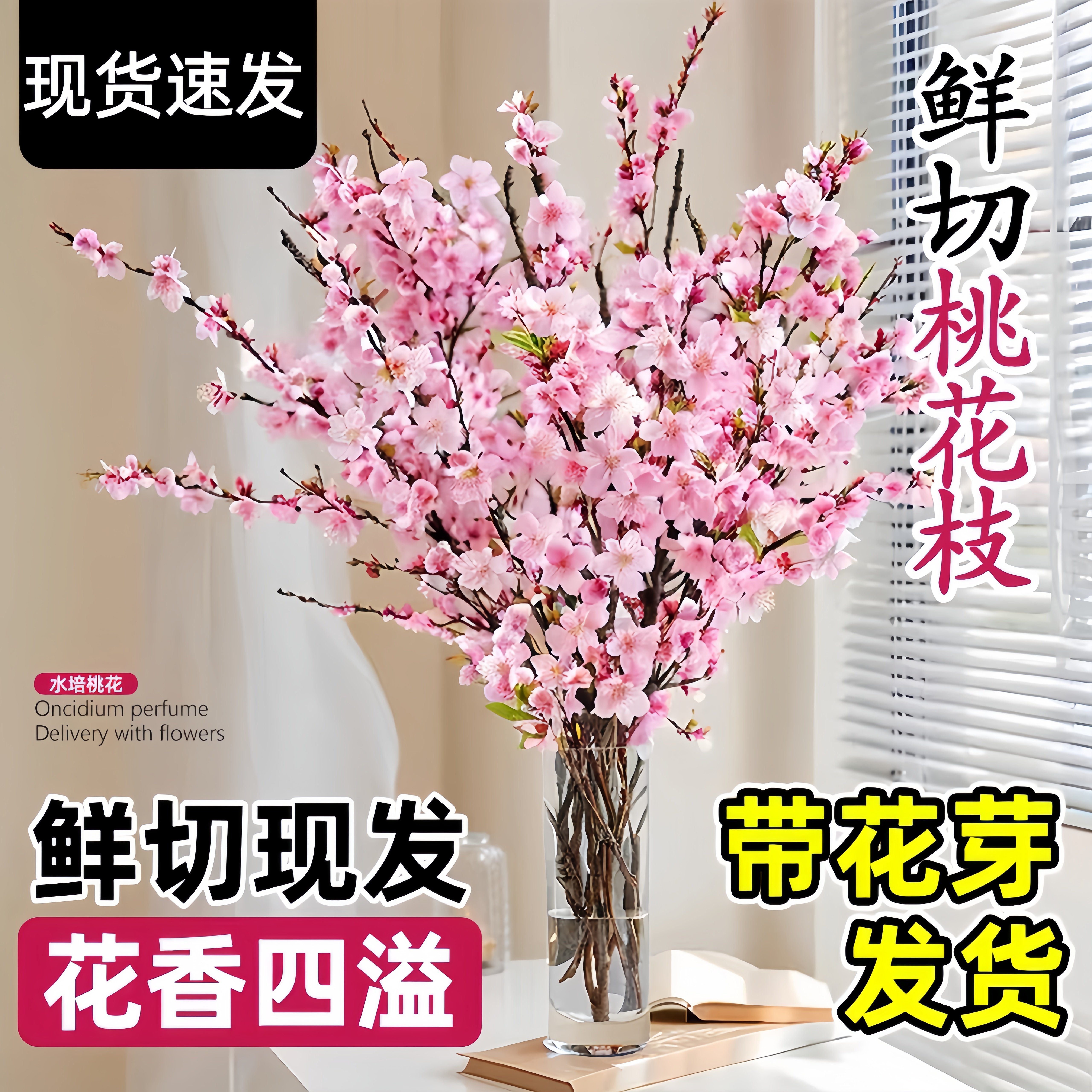 桃花鲜枝干枝水培鲜切带花苞红梅室内客厅水养绿植花卉办公室盆栽