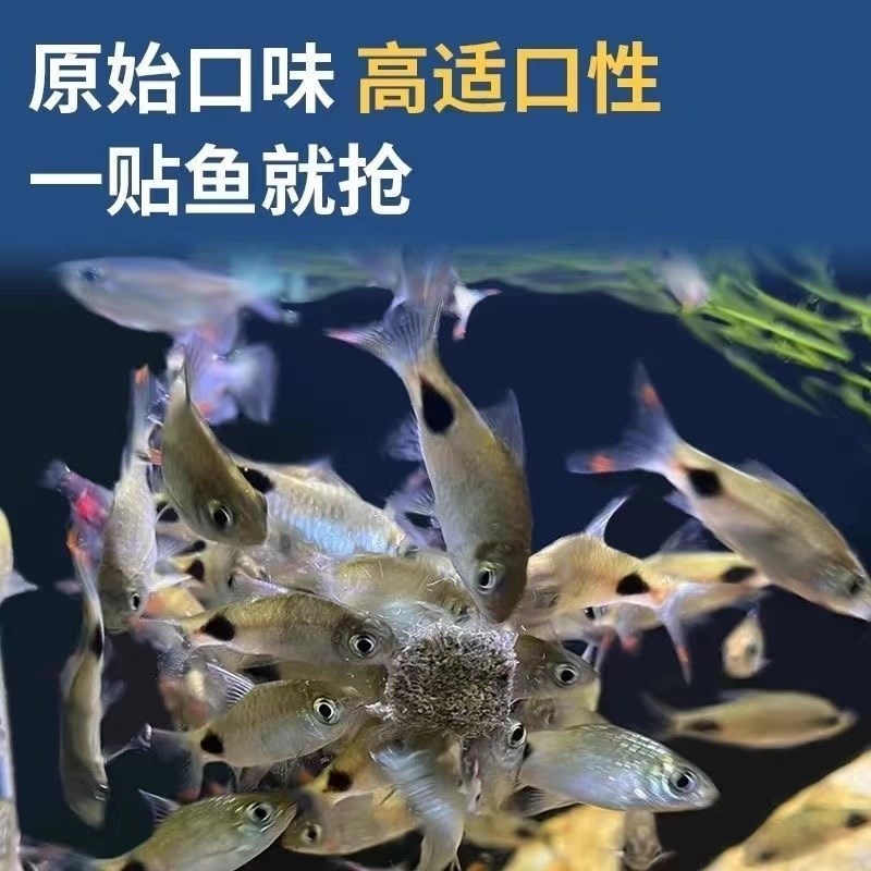 红丝虫块冻干小型观赏鱼饲料孔雀鱼鹦鹉鱼燕鱼鱼食水蚯蚓鱼粮龟粮