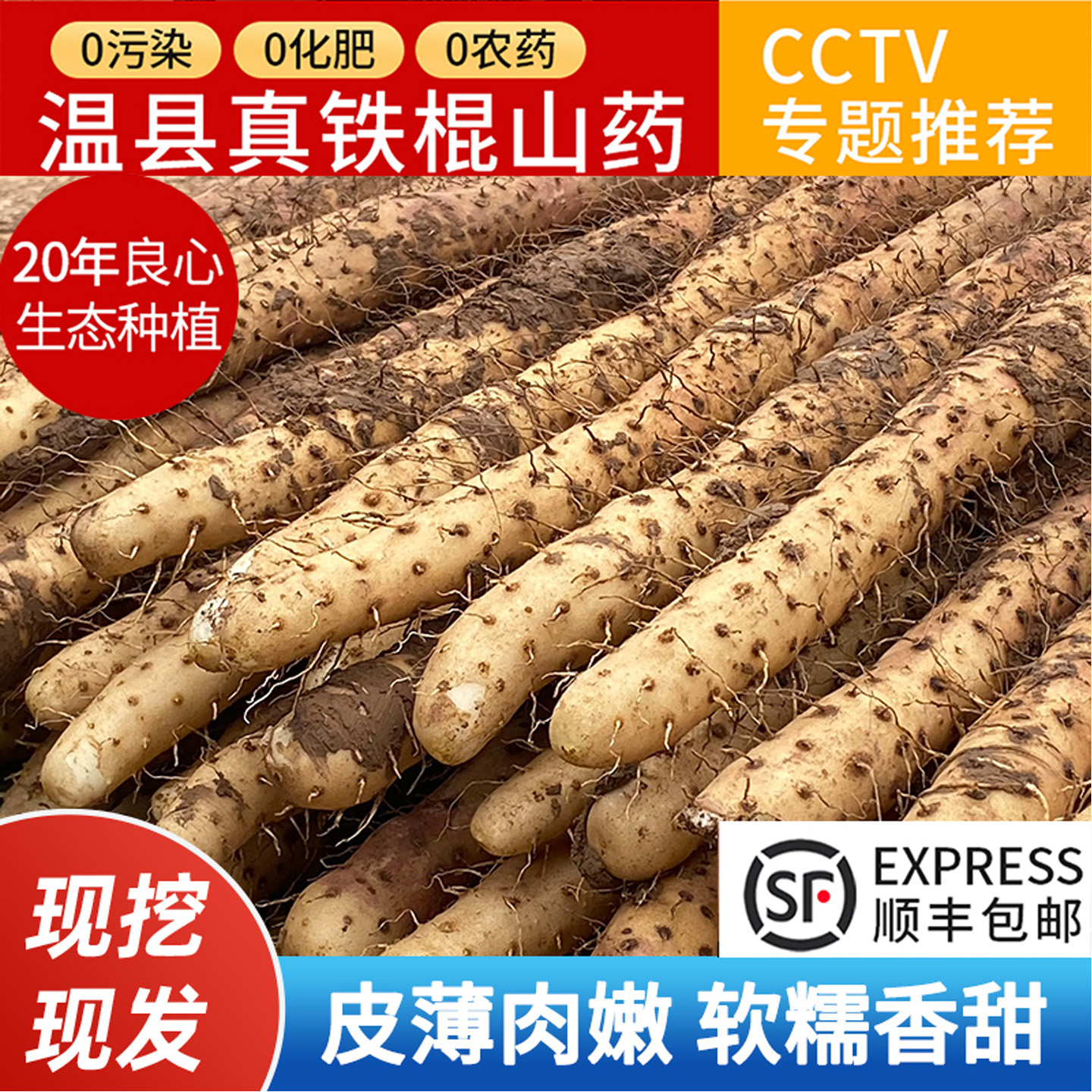 正宗河南焦作铁棍长怀山药温县垆土官方旗舰店淮山药粉干农家新鲜