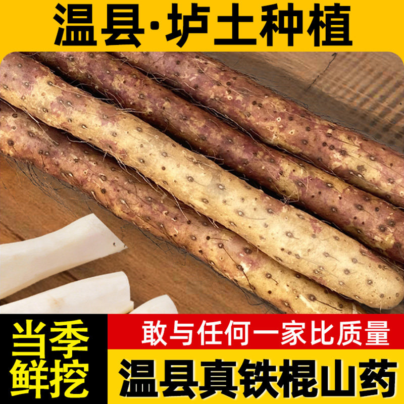 河南焦作正宗温县垆土铁棍山药新鲜铁杆怀山药特产淮山旗舰店