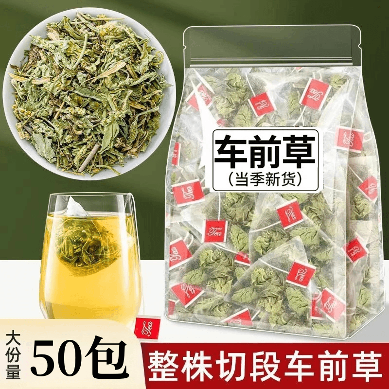 结散】车前草中药材猫爪草泡茶新鲜干货整株车轮草非野生泡水喝的