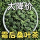 桑叶茶秋冬炒制霜后桑树桑叶茶新货干桑叶代用茶花草代茶家中常备