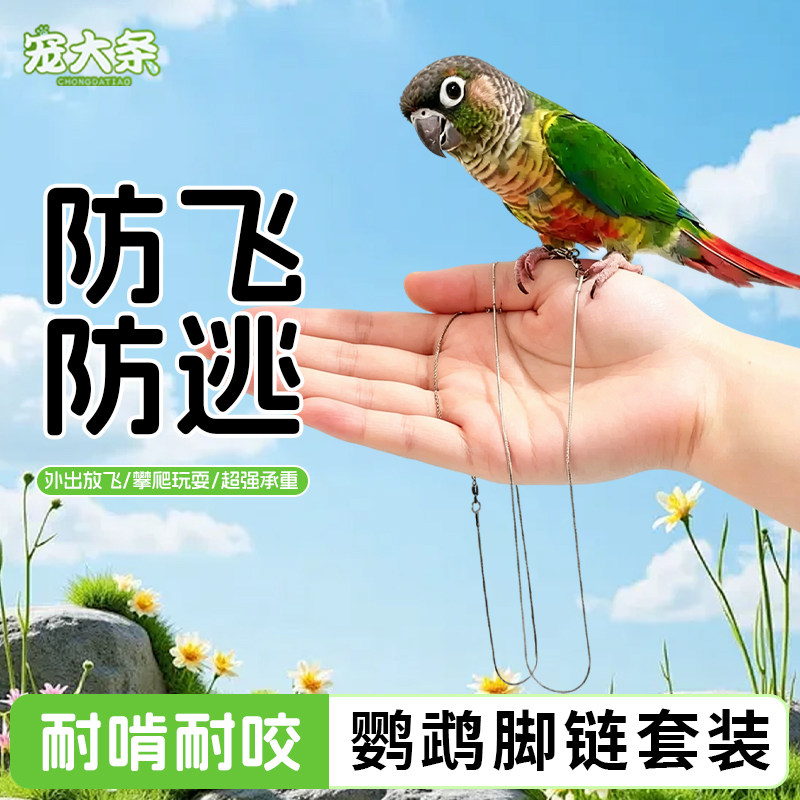 【宠大条】鹦鹉不锈钢脚链放飞绳牵引绳鸟用外出脚环遛鸟绳神器