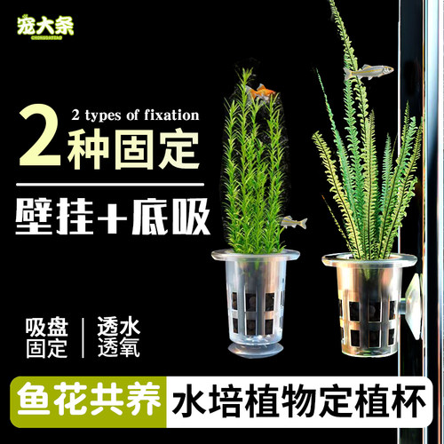 宠大条鱼缸定植篮壁挂底吸水草