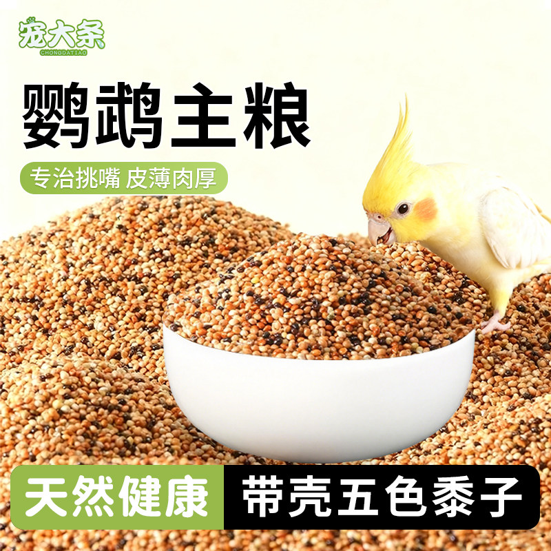 【宠大条】鸟粮五色黍子虎皮牡丹玄凤中小型鹦鹉鸟食混合谷子粮食,宠物/宠物食品及用品,鸟零食,淘宝优惠券,粉丝福利购,淘宝优惠卷