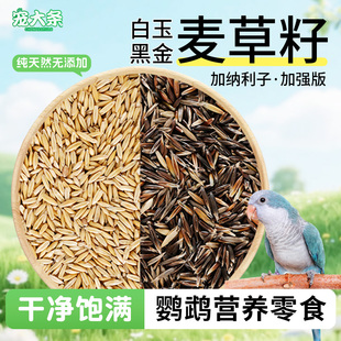 【宠大条】鹦鹉双色麦草籽带壳白玉麦黑金麦虎皮牡丹玄凤鸟粮零食