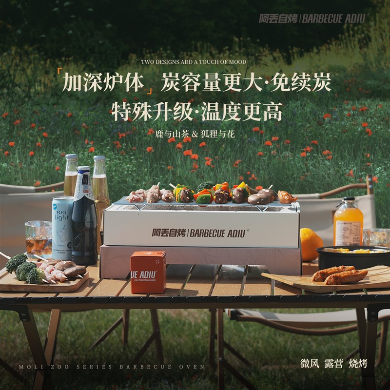 阿丢烧烤炉户外一次性烧烤炉户外烧烤架可携式无烟碳烤炉木炭炉子