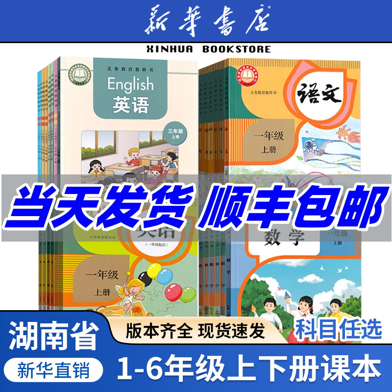 【新华正版】湖南省小学一