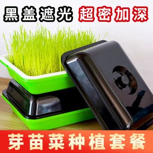 豆芽盘发芽盆水培黄绿黑豆芽苗菜种植蔬菜豆芽机桶罐专用泡发神器