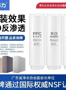 中芯力适配卡萨帝净水器CRO500/600/800-Q3PBU1/Q5HBU1/4H85滤芯
