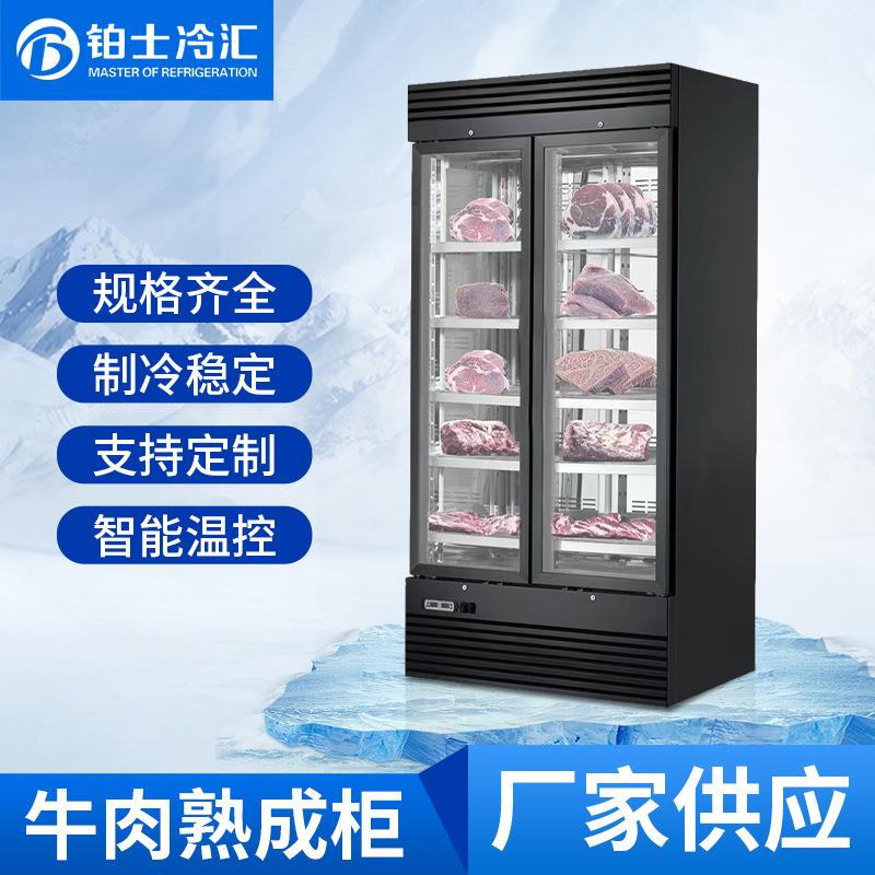 工厂直销海鲜姿造冷藏柜高端牛排冷冻柜熟成柜冷藏立式不锈钢冰柜