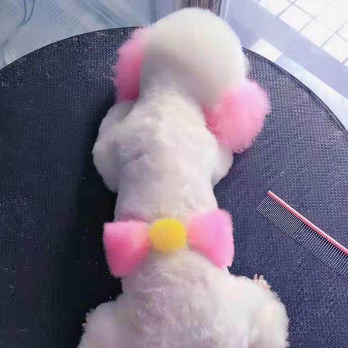 狗染发剂头发宠物专用染发剂樱花粉红色橙色染发剂白色猫动物