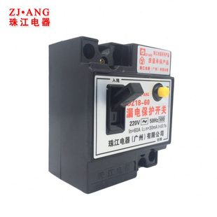 总开关 珠江家用漏电断路器220V两相40a60安漏电保护器开关32a