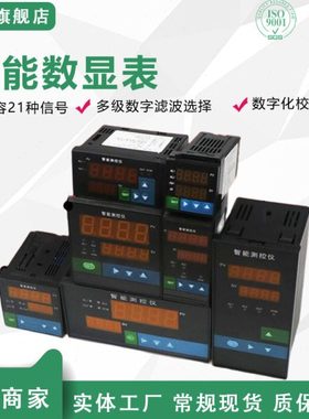 WP-C401-00-14-N-W/WP-C401-02-08-N单项数显表