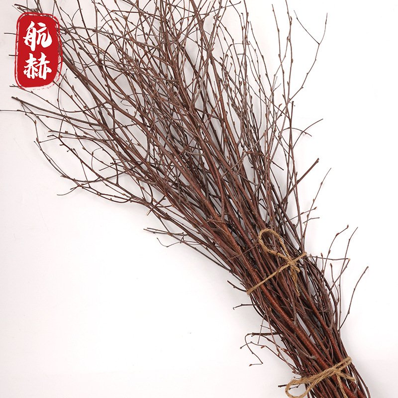 手选桦树枝工艺品原料插花幼儿园手工DIY桦木枝森系装饰材料