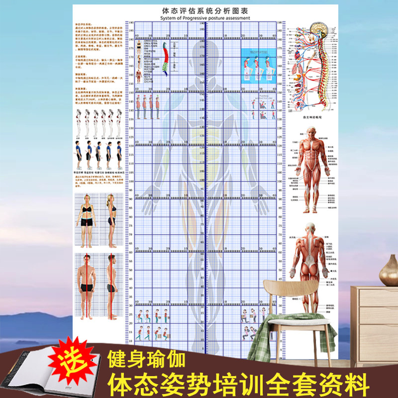 体态评估表挂式贴式体测健身房瑜伽馆私教身体形姿矫正网格对比图