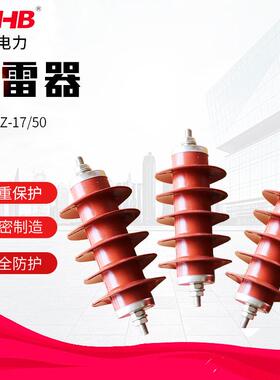 YH5WZ-17/50氧化锌避雷器10KV高压氧化锌电站型避雷器