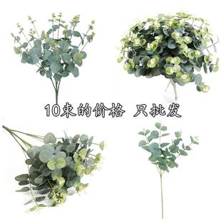 饰拍摄 仿真金钱草尤加利圆叶绿植婚庆插花配草绿叶16叉把束森系装