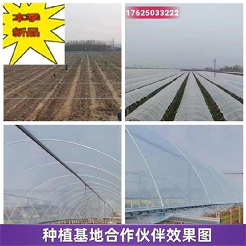 简易室水大棚f支柱内o棚p拱台y露E杆白色纤维杆防冻棚防外玻纤杆