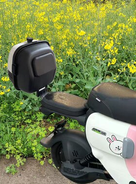 九号电动车A2z35C/A2z40/A2z90G后备箱尾箱储物收纳雨衣雨伞充电