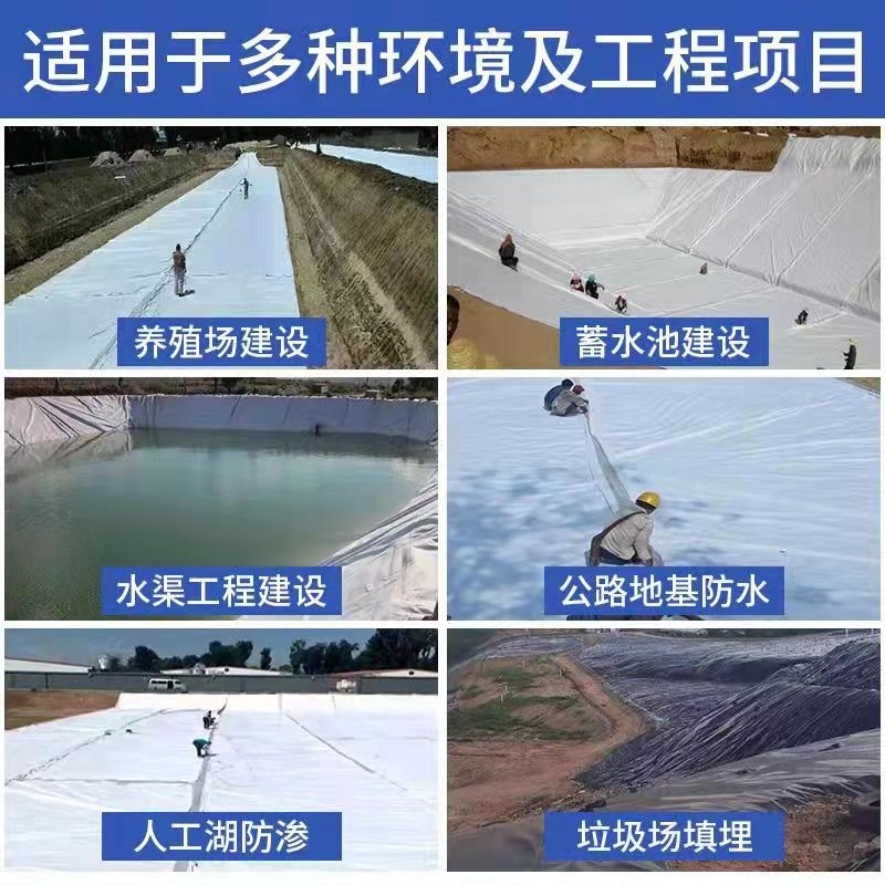 复合土工膜一布两布一膜人工湖河道水库400g600g800g蓄水池防水布图片