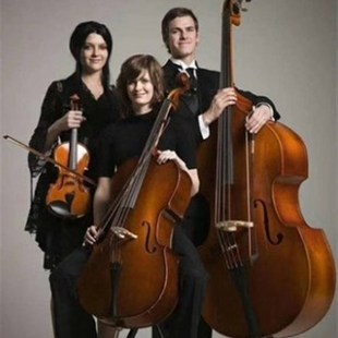 A大贝司低音提琴倍大提琴低音大贝司大贝斯儿童成人