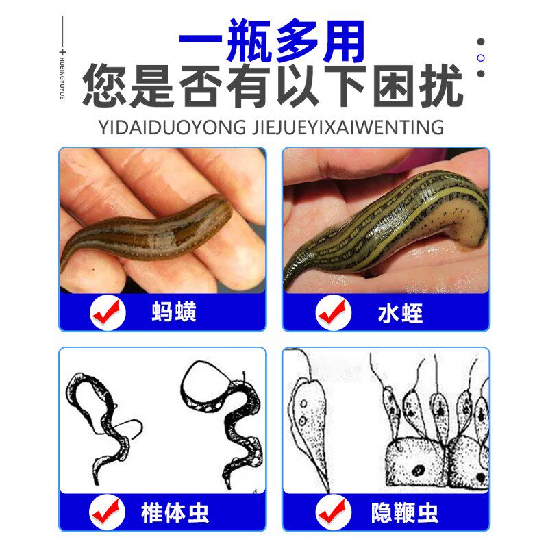 蚂蟥克水产养殖鱼药专用蚂蟥鱼塘水库驱除水蛭蚂蟥椎体虫蚂蟥净