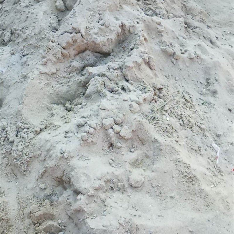 福建细沙,贴瓷砖细沙,砌墙细沙,水泥地细沙,温州送货1立方