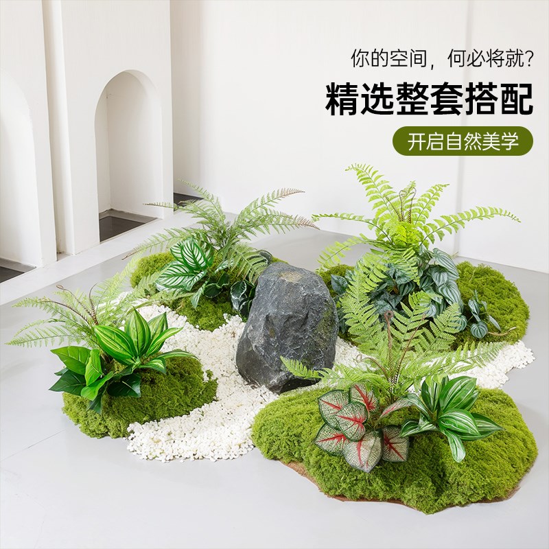 仿真造景绿色蕨类植物高档装饰室内庭院景观氛围感摆件小型假绿植